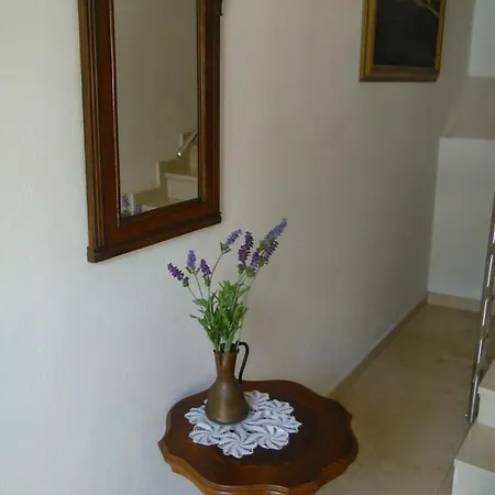 Apartment Sajeta Beach Drvenik (Split-Dalmatia)